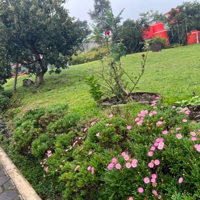 marahdi2000's profile picture. 