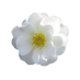 Karine O yeuxpopareils (@yeuxpopareil) Twitter profile photo Karine O yeuxpopareils (@yeuxpopareil) Twitter profile photo