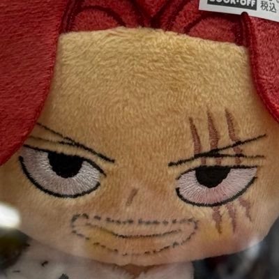 Scalloneさんのプロフィール画像