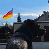 André MB (@andrmb7) 's Twitter Profile