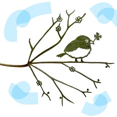 Roseedenclimber's profile picture. 日本を応援する為に始めました。是々非々です🇯🇵 
🐶17歳