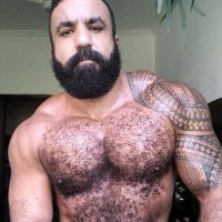 Arab Muscle Bear (@musclebearbrazi) 's Twitter Profile