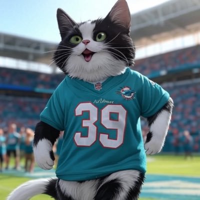 comics, good music, the NFL & UFL, NORTH CAROLINA TARHEELS and professional wrestling. my world is a happy place! #miamidolphins #FinsUp