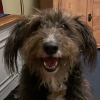 Boltye (@mrbolty) 's Twitter Profile