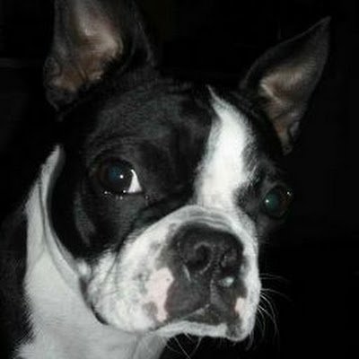 GarySkeeder1313's profile picture. 