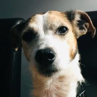 mark (@markstr27973406) 's Twitter Profile