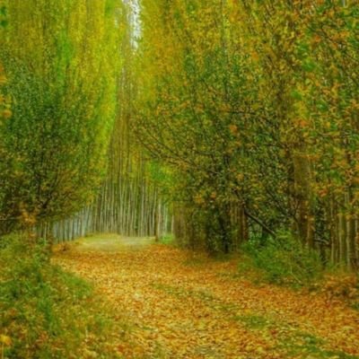 فرزانه خانم
🇮🇷 ایران، قلب تپنده خاورمیانه
باید از خودت آدمی بسازی
که در روزهای سخت محتاجِ پشت و پناه نباشع
