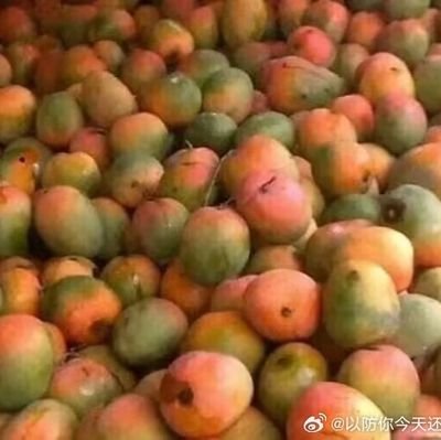 jwnqng1's profile picture. 互联网浮游生物一颗／🇨🇳／成人济