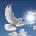 Dilek 🕊️ (@dilekoner20) Twitter profile photo Dilek 🕊️ (@dilekoner20) Twitter profile photo