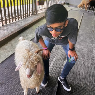 Jzrqqq's profile picture. MEMORY 🤍🖤