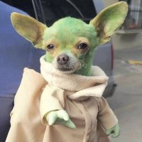 ItsPropane (@itspropane) 's Twitter Profile