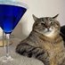 Katze mit Cocktail 🐈⬛🍸🍹 (@katzenklofrau) Twitter profile photo Katze mit Cocktail 🐈⬛🍸🍹 (@katzenklofrau) Twitter profile photo