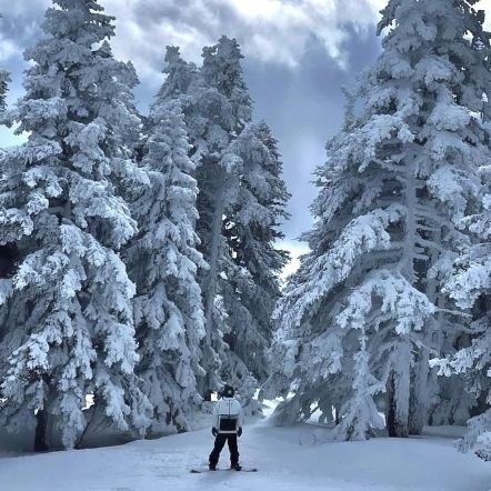 magicalgp's profile picture. All posts are Opinion not Financial Advice