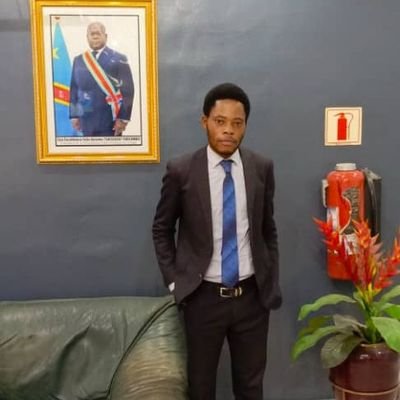 Ecomiste Financier de Formation, Banquier, Entrépreneur, Acteur politique, Manager, Cadre de l'UDPS Tshisekedi, coordonateur principal de l'IDB,et Chréstien.