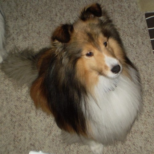 joe_reader's profile picture. 