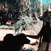 Tania (@tanvillam) 's Twitter Profile Photo