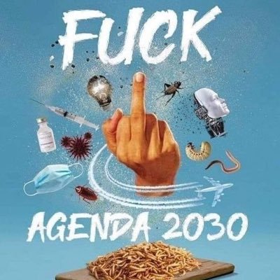 HTankink's profile picture. 