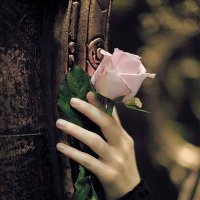 Gülle vurgun (@cegul634) 's Twitter Profile