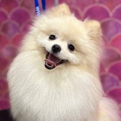 ivcia0107's profile picture. 