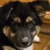 starrandmona ☮️ (@starrandmona) Twitter profile photo starrandmona ☮️ (@starrandmona) Twitter profile photo