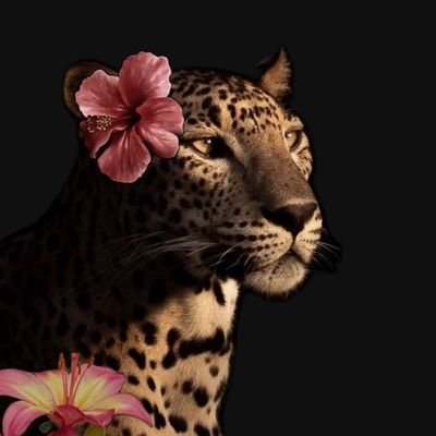 florencia16234's profile picture. #lavidaesbella🥀
#Taylor💋
#freedance👯‍♀️💃