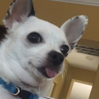 M XM (@mxmcomi3s) 's Twitter Profile