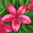 leenmh93's profile image