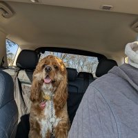 Jack 0608 (@j67113j) 's Twitter Profile Photo