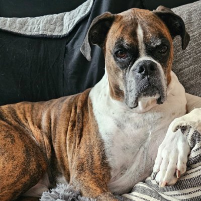 AaronAnder50751's profile picture. 