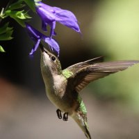 Rand Quinn (@randquinn) 's Twitter Profile