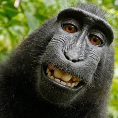 Jeff60738020's profile picture. I pray God watches over everyone of all colors, shapes, sizes, ages, and all ethnic backgrounds. Read: Psalm 55:22–23