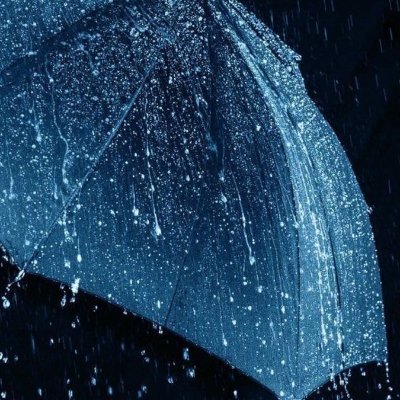 Renson2541's profile picture. Revealing history's weirdest footnotes