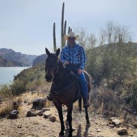 Matt De Micco (@demiccomatt) 's Twitter Profile