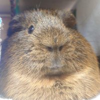 ♪△▲na▲△♪ (@na0244) 's Twitter Profile Photo