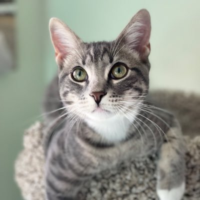 sarahjemiolo's profile picture. "we need a bigger boat"