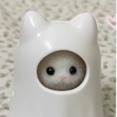 Pedrinhoさんのプロフィール画像