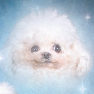 AguVignolo Profile Picture