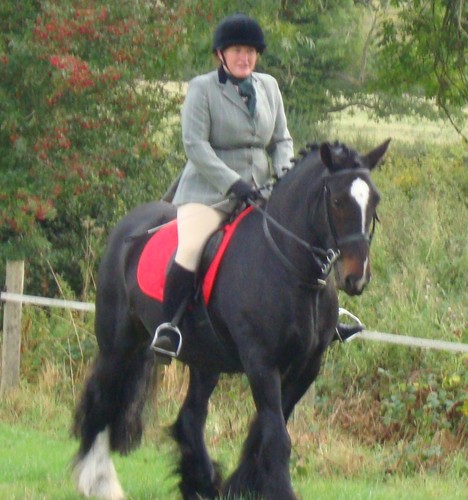 AmandaTTurner's profile picture. When not in flourescent mis-matching fitness clothing, can be spotted in jodphurs cantering around the Cotswolds countryside.  Living life to the full