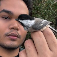 🦜🐦LAKHVINDER SINGH 🦜🐦 (@snghlakhvinder) 's Twitter Profile
