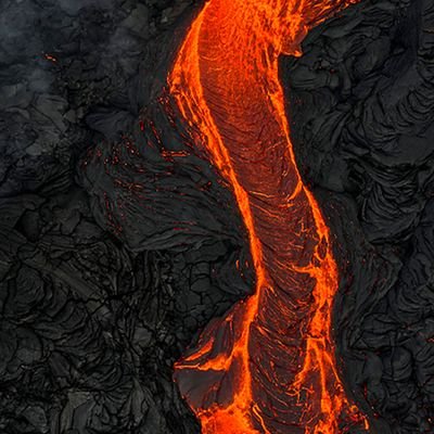 techisdumb's profile picture. 