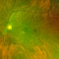 Albatraoz (@ch3stnut_01) 's Twitter Profile Photo