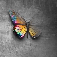 Melike Nur (@melike346155) Twitter profile photo