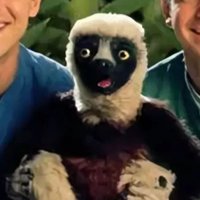 SCP (@kof_comatoast) 's Twitter Profile