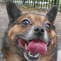 Lou Pine 🍁 (@hrhlou) 's Twitter Profile Photo Lou Pine 🍁 (@hrhlou) 's Twitter Profile Photo