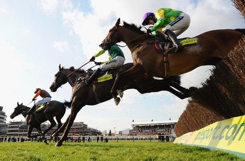 jspearfifty's profile picture. 