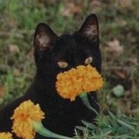 ๐๐๐๐๐๐๐๐ ๐๐๐๐๐ ๐ฉธ (@bionic_ooze) 's Twitter Profile