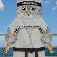 Ibrähiim🧑💻(Ø,G) (@ibpeacetech) 's Twitter Profile