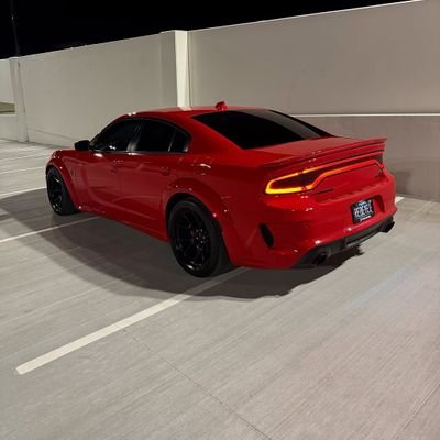 selektaMacS33's profile picture. Entertainment