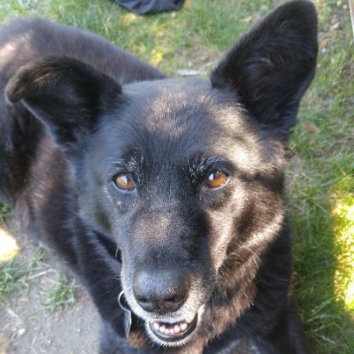 HSpringer2001's profile picture. Lover of wide open spaces... and tasty treats!