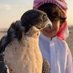 هـذّام ' (@1wwor) Twitter profile photo هـذّام ' (@1wwor) Twitter profile photo